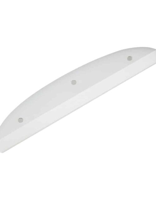 Tail Bone Powell Peralta