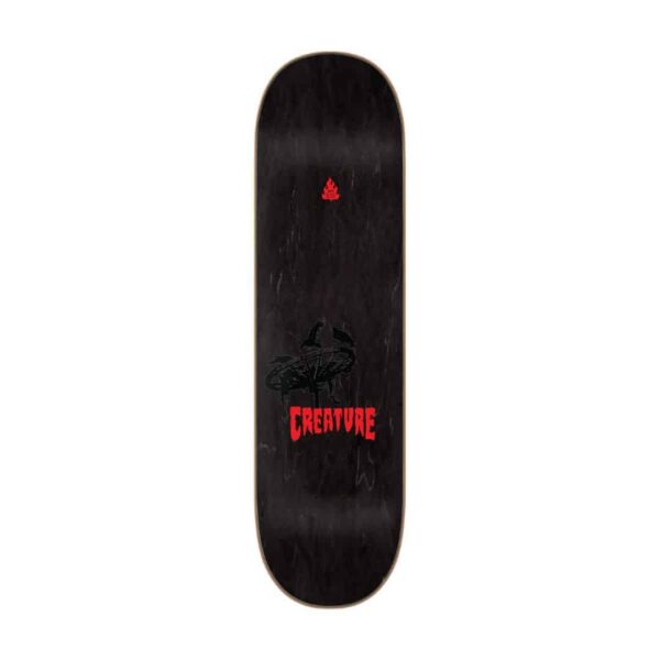 Tabla Creature 8.60" - Image 2