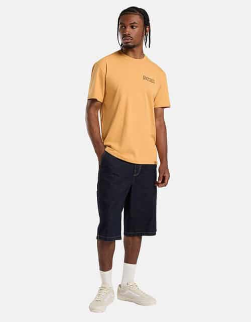 Camiseta Dickies