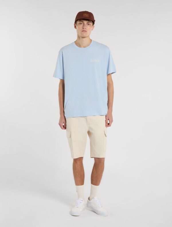 Camiseta Dickies