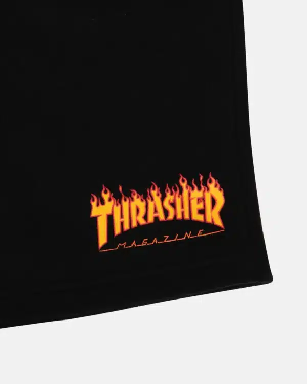 Short Thrasher - Image 2