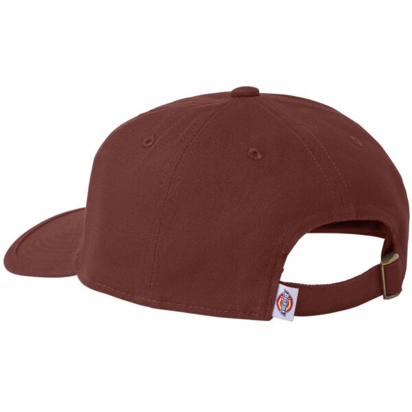 Gorra Dickies - Image 2