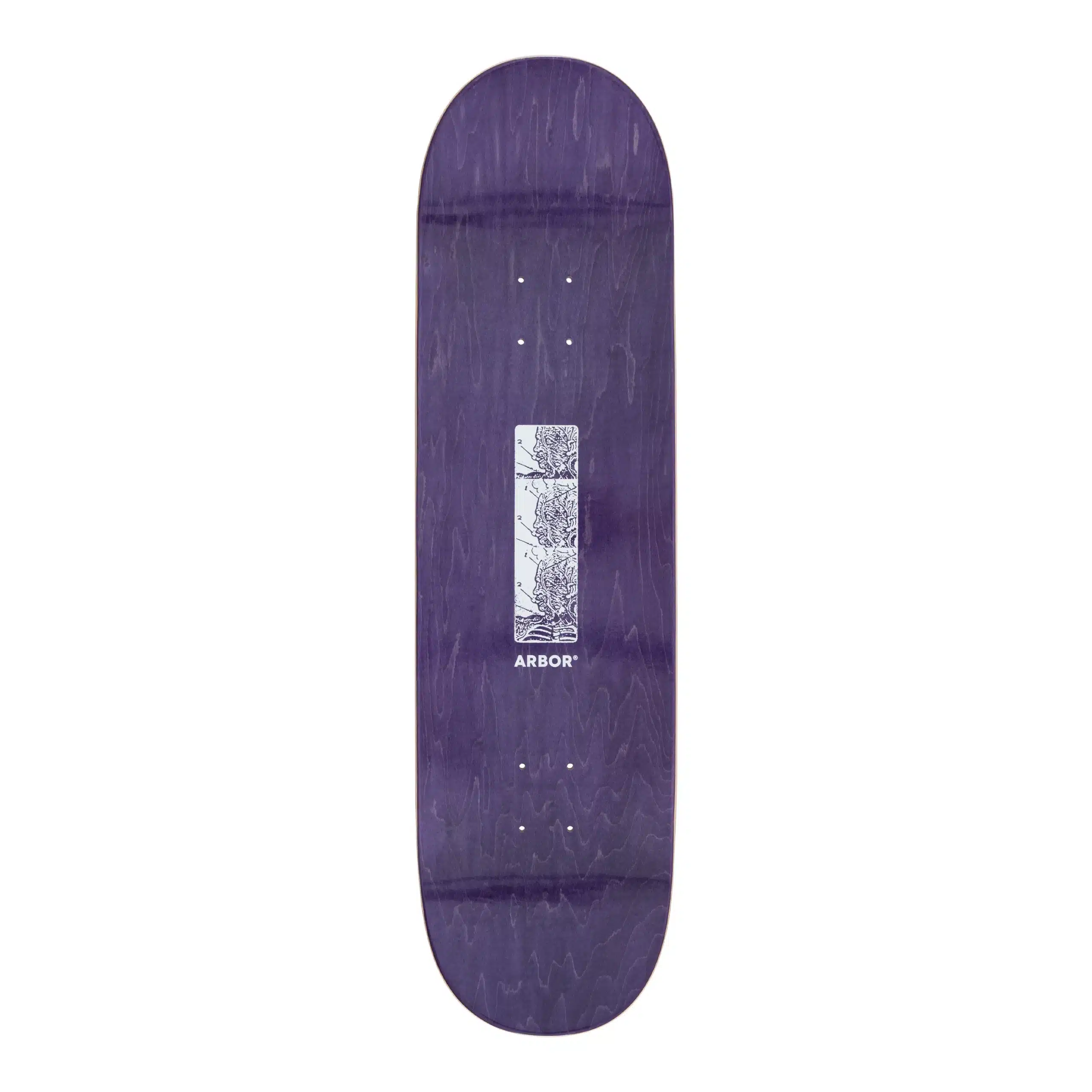 Tabla Arbor 8.75" - Imagen 4